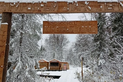 Первый снег укрыл Каменный город