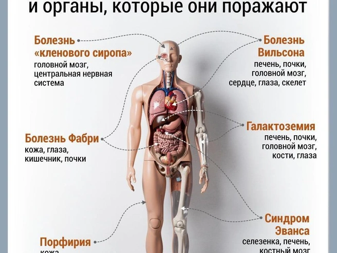 Источник: Дмитрий Гладышев / 72.RU