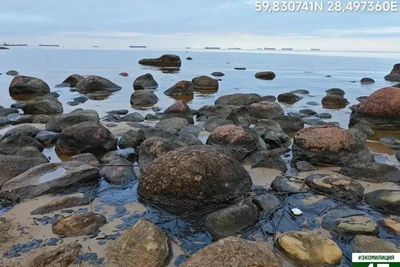 Загрязнение Финского залива нефтепродуктами локализовано