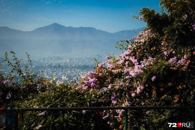 Источник: Екатерина Бурко