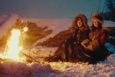 AY YOLA и табун лошадей: подозрения в использовании ИИ