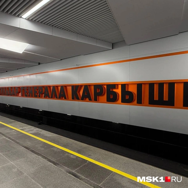 Источник: Вера Борисова / MSK1.RU