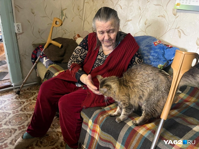 Галина Стружкина уже много лет обитает на этом диване | Источник: Дарья Ходосевич / YA62.RU