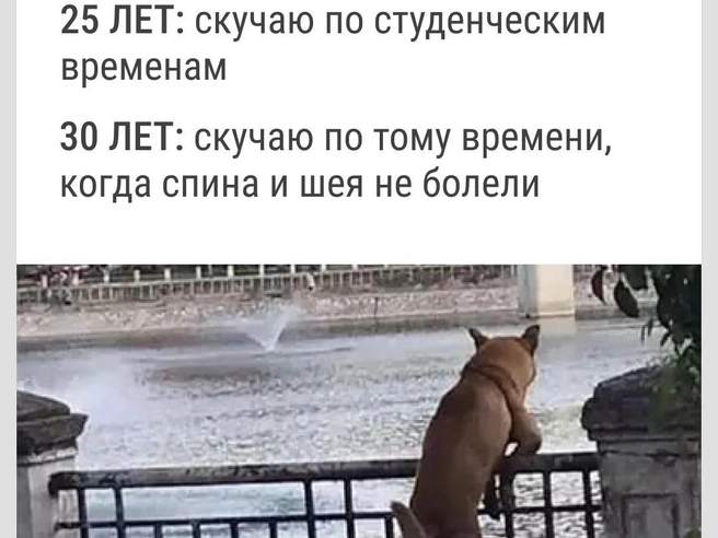 Золотые времена | Источник: Городские медиа
