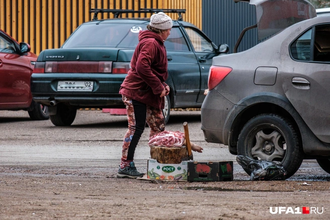 Сейчас нарублю! | Источник: Булат Салихов / UFA1.RU
