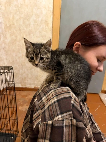 Источник: Татьяна Никулина