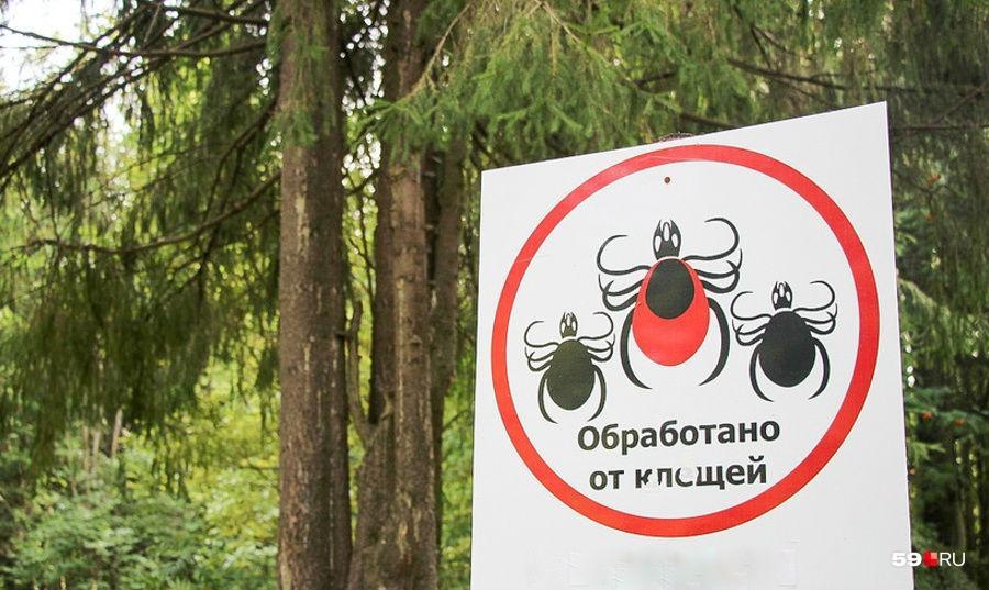 Клещей в Перми в этом году ловят рядом с домом — а где вообще обрабатывали? Карта мест, куда (вроде бы) неопасно идти