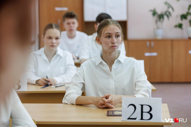 Решимость во взгляде обязательно появится — после выполнения всех заданий | Источник: Алексей Волхонский / V1.RU