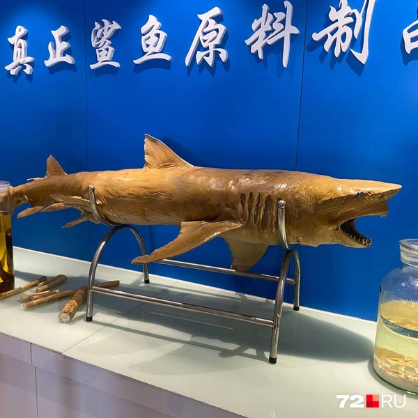 Центр с акулами | Источник: Елизавета Ч.