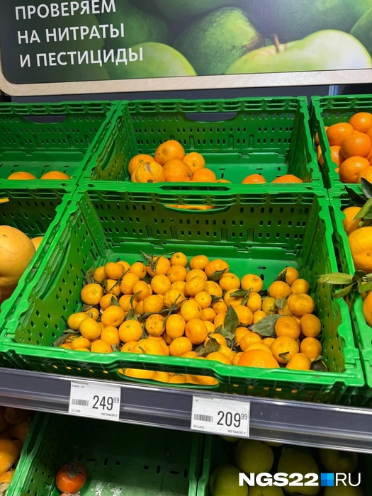 Мандарины бейби выглядят слегка уставшими, а стоят дороже остальных — 250 рублей | Источник: Полина Шевчукова / NGS22.RU