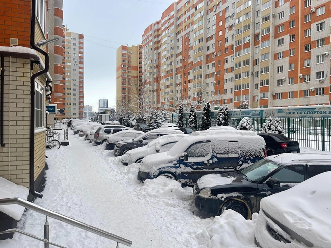 Мест на парковках нет, потому что все машины стоят на своих местах&nbsp;— их владельцы дома | Источник: Дарья Гранкина / 26.RU