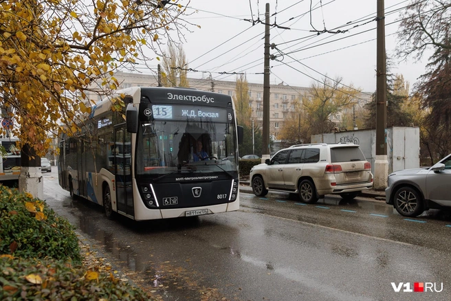 По белой и синей разметкам можно понять, сколько места оставлено автобусам | Источник: Алексей Волхонский / V1.RU