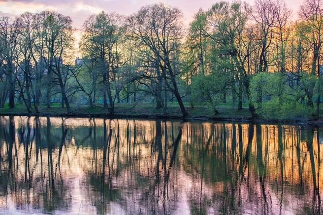 Источник: Александр Кременной. ЦПКиО им. С. М. Кирова