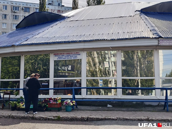 Продавцы цветов пока торгуют на улице | Источник: Булат Салихов / UFA1.RU