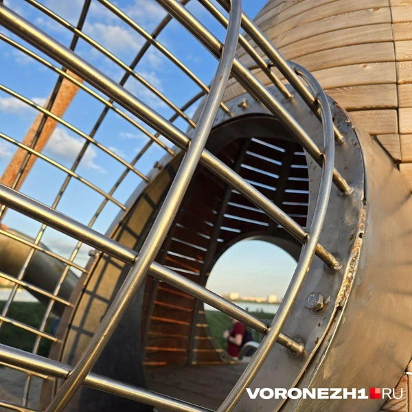 Источник: Ирина Булгакова \ Voronezh1.ru
