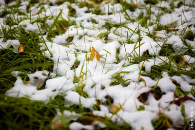 Череповец укроет снегом, потепление начнется с мая