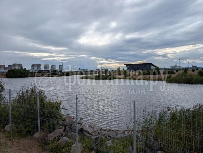 Тело музыканта нашли в воде на территории Васильевского острова в Петербурге | Источник: Федор Данилов / FONTANKA.RU