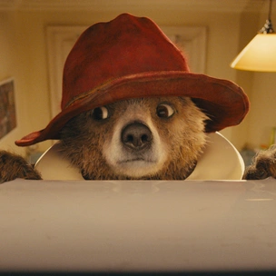 Медвежонок Паддингтон снялся в кино