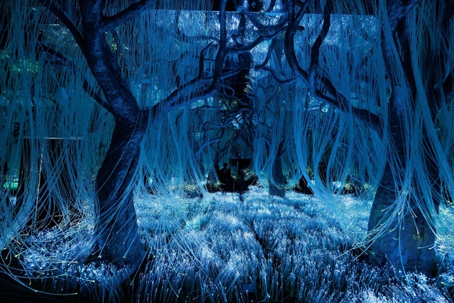 Источник: предоставлено организаторами