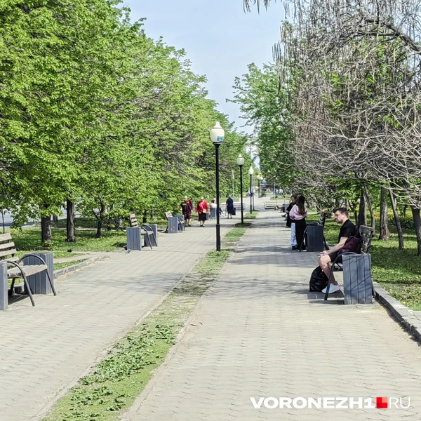 Источник: Андрей Пашинский / Voronezh1.ru