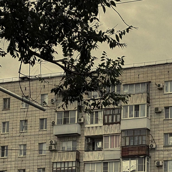 Источник: scherbakova.ph / Instagram (соцсеть запрещена в РФ)