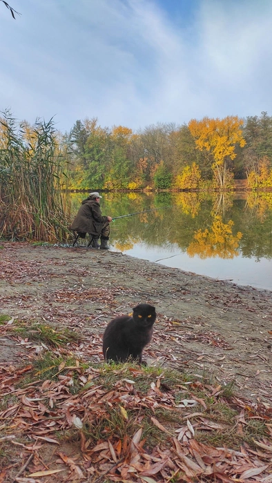 За отменным уловом на озеро приходят не только люди | Источник: Ирина Голоколенова