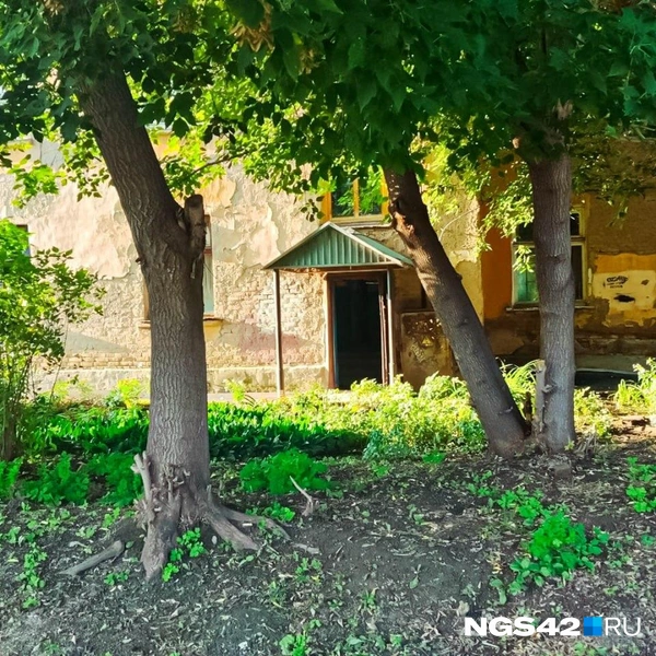 Источник: Александр Левчук / NGS42.RU