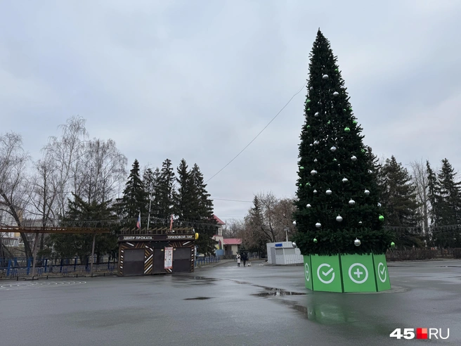 Источник: Юлия Король / 45.RU