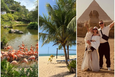 Пирамиды, фламинго и море: уральцы показали отпуск за рубежом