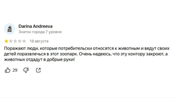 Комментаторы надеются, что заведение прекратит работу после скандала | Источник: «Яндекс Карты»