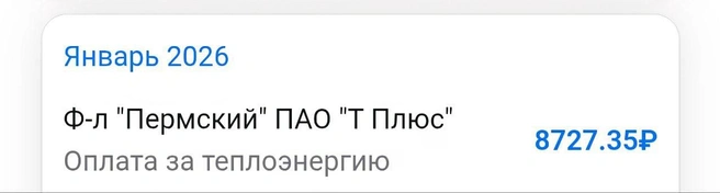Пермячка говорит, что такой платеж пришел за квартиру площадью 63,5 квадратных метра | Источник: Читательница 59.RU Ксения