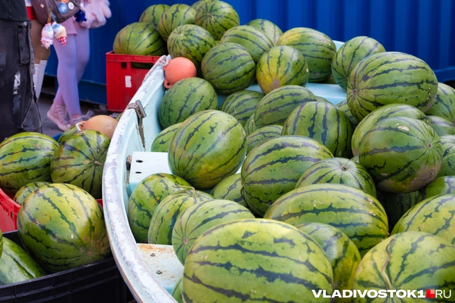 Источник: Елена Буйвол / VLADIVOSTOK1.RU