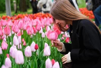 На Елагином острове стартовал 14-й фестиваль тюльпанов
