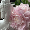userpic__Sdixm 