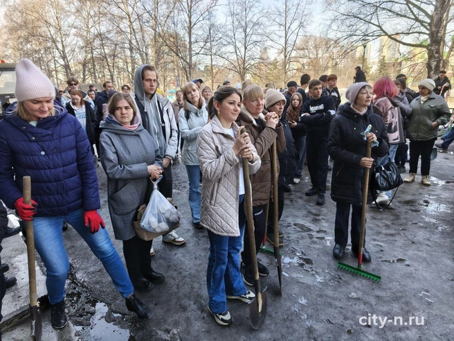 Источник: www.city-n.ru
