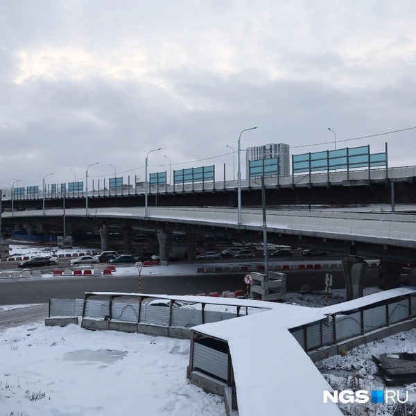 Это уже седьмой по счету съезд | Источник: Александр Ощепков / NGS.RU