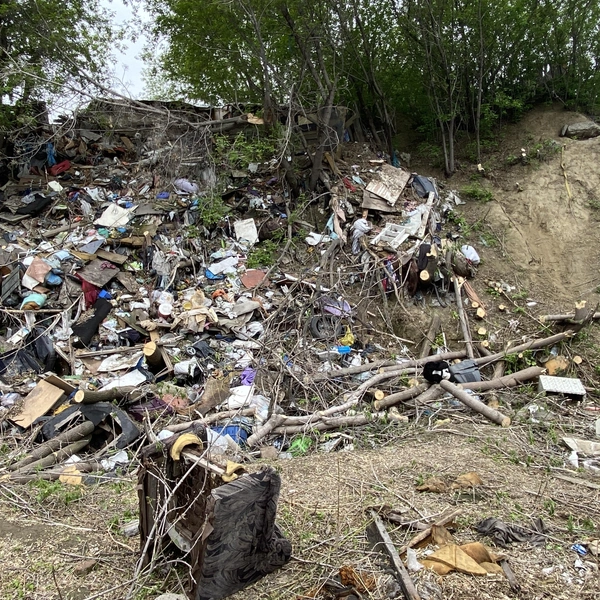 Территория была запущена и труднодоступна | Источник: ГК «Брусника»