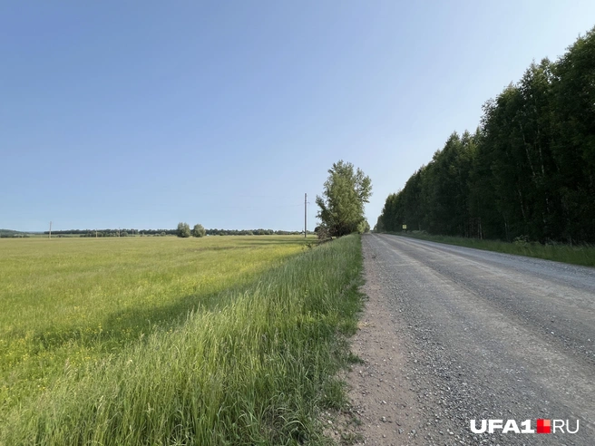 Пустая дорога | Источник: Андрей Бирюков / UFA1.RU