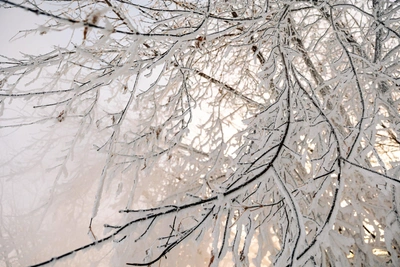 В Тюмени к выходным ударят морозы до -35 градусов