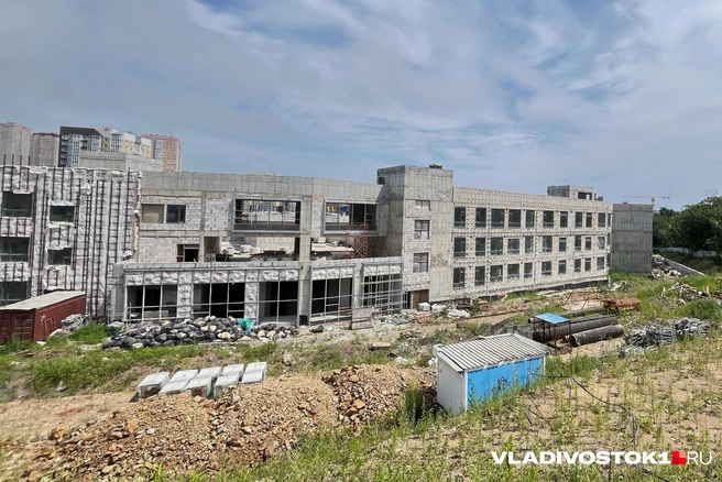 Источник: Елена Буйвол / VLADIVOSTOK1.RU