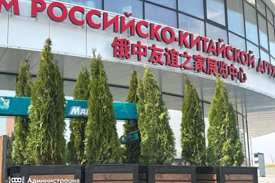 На Трибуне Холл высадили туи из Краснодара