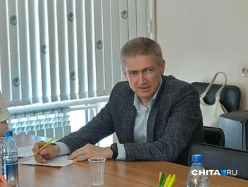 Обрезку деревьев в Чите фактически не контролируют, а на скос травы уходит по 30 миллионов рублей | Источник: Тамара Ван-Фу-Ли / CHITA.RU