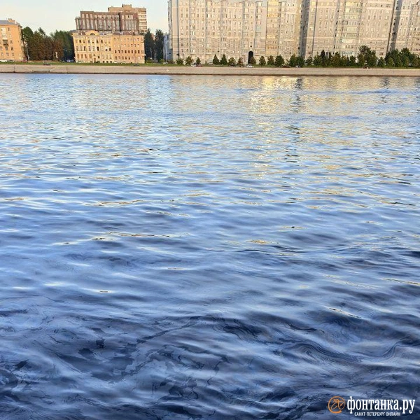 Источник: читатель «Фонтанки»