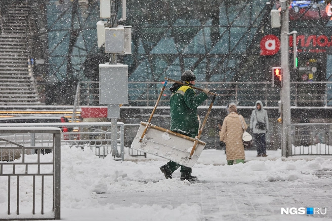 Завтра в регионе ожидается похолодание до — 14 градусов | Источник: Александр Ощепков / NGS.RU