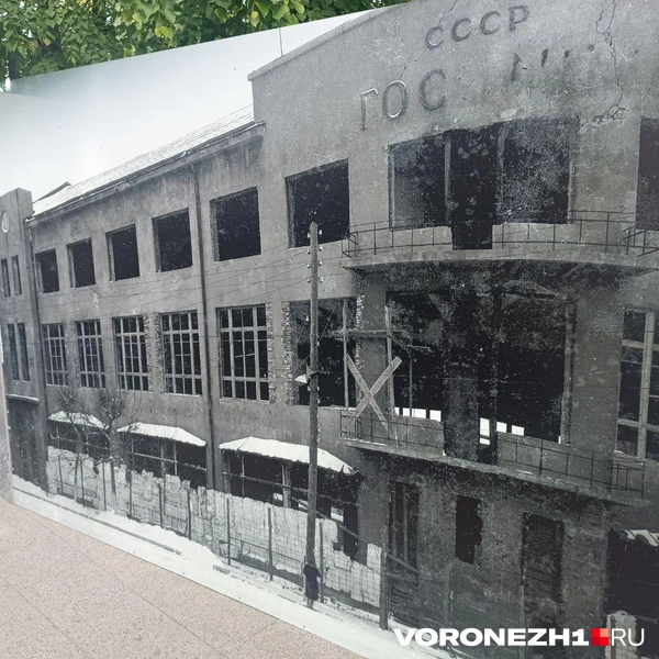 Источник: Алёна Воропаева / Voronezh1.ru