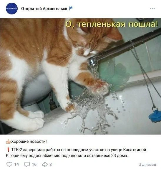 Источник: Открытый Архангельск / Vk.com