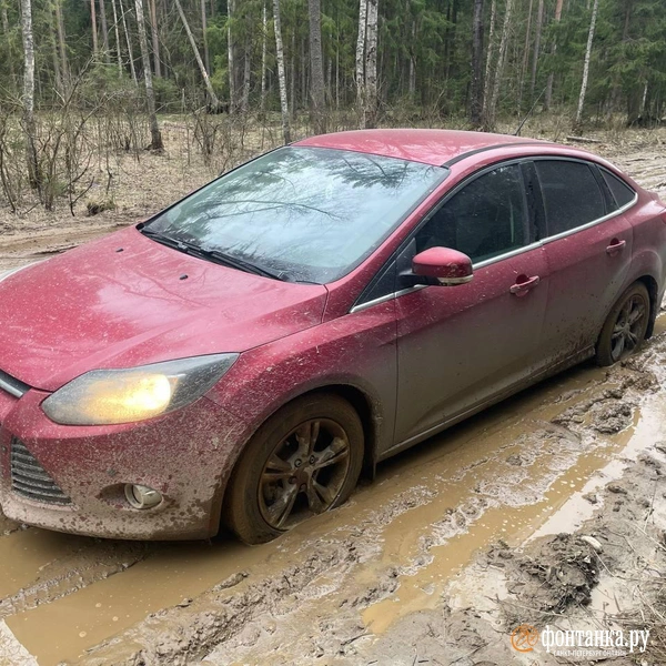 Источник: читатель «Фонтанки»