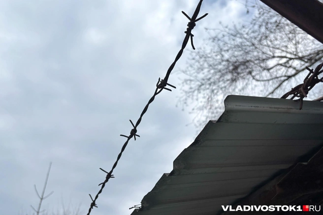 Сейчас мужчину отправили в СИЗО | Источник: Елена Буйвол / VLADIVOSTOK1.RU