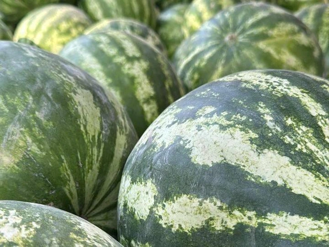 Летом в магазинах «ЯгодГрад» можно найти еще больше натуральных продуктов | Источник: «ЯгодГрад»