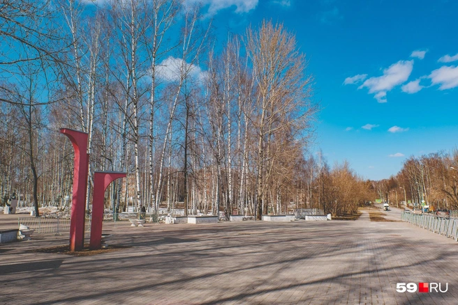 Будет настолько тепло, что в лесах, где пока остается снег, все растает | Источник: Тимофей Калмаков / 59.RU